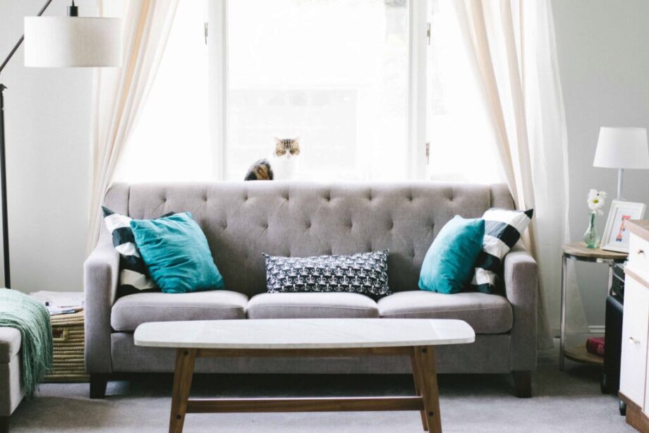 Best Sleeper Sofa Our Top Picks For, What Is The Best Sleeper Sofa For A Small Apartment