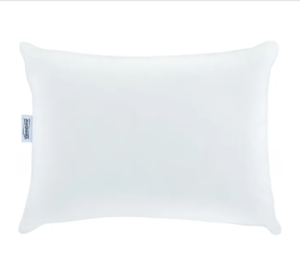 Beautyrest Absolute Rest Pillow