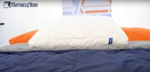 Casper Down Pillow