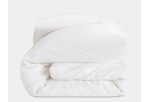 Cozy Earth Silk Comforter