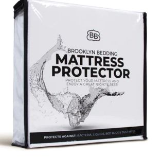 9 Best Mattress Protectors of 2024