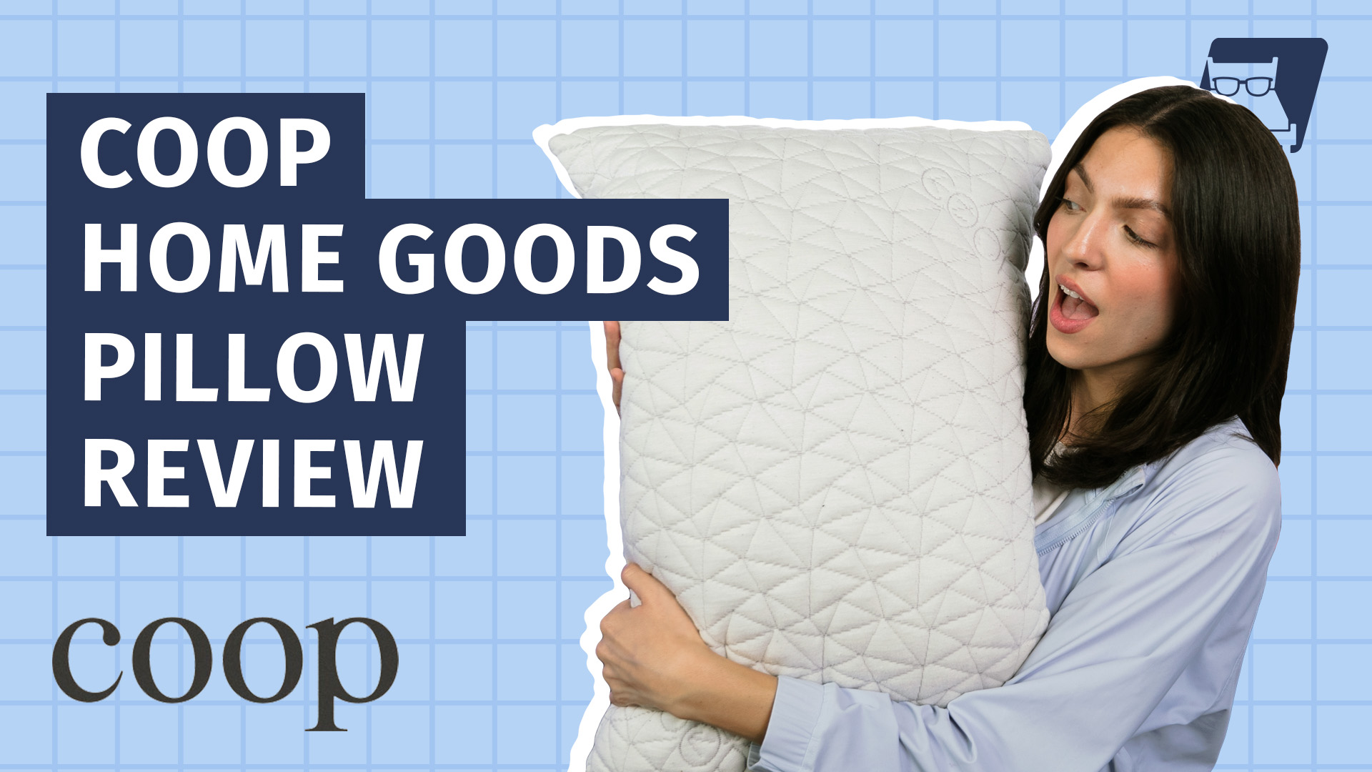 Coop Home Goods Original Loft Pillow King size, White