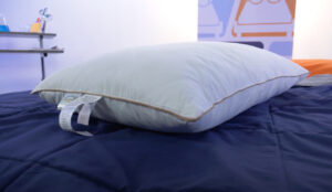 Puredown Goose Feather and Down Pillow
