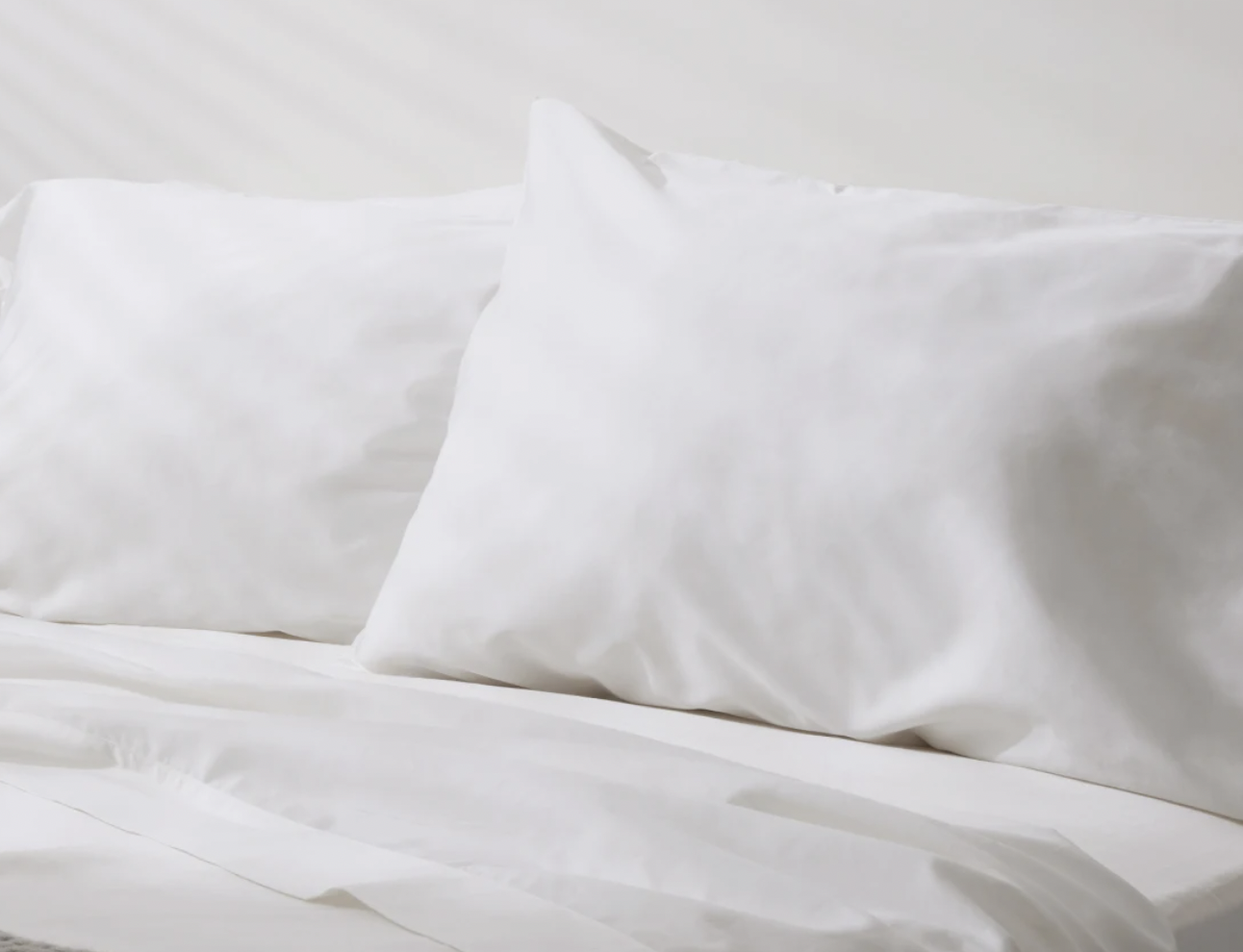 Birch Organic Sheets