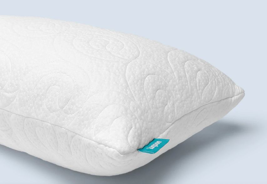 lagoon otter pillow