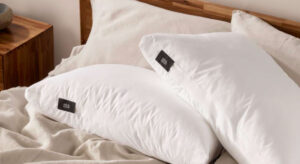 Silk & Snow Pillow