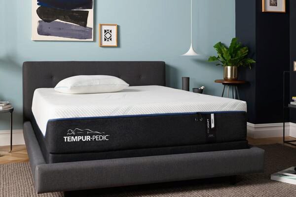 top rated costco mattresses